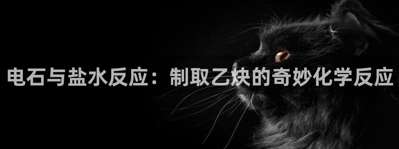 威九国际78mapp官网版下载