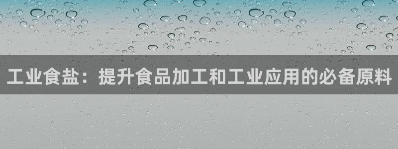 威九国际体育：工业食盐：提升食品加工和工业应用的必备原料