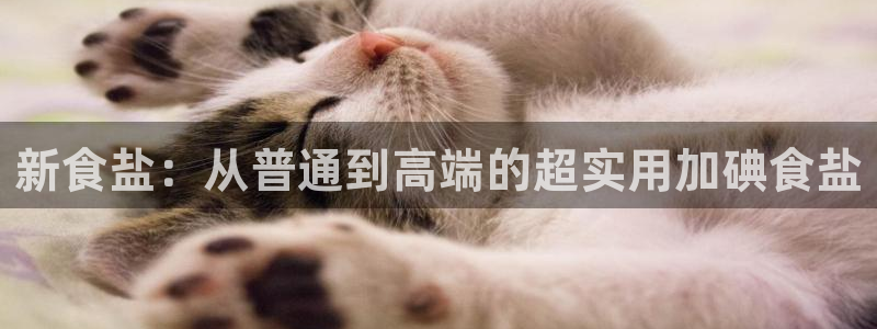 威九国际网站游戏