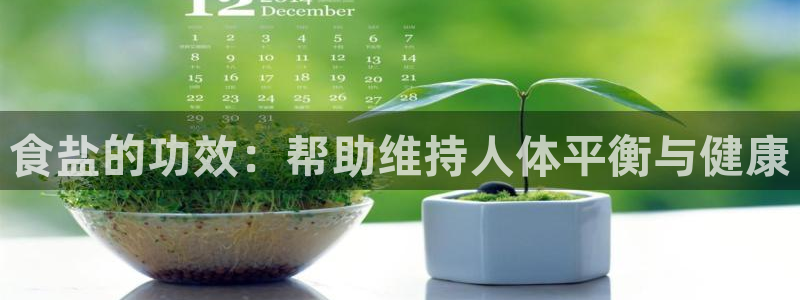 威九国际APP那个地方