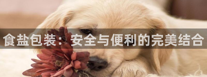 威九国际游戏app(网站)