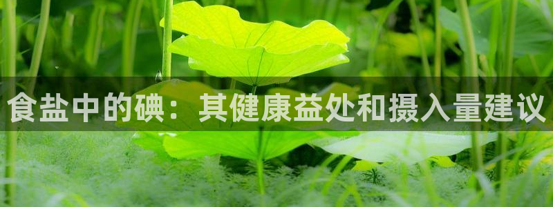 威九国际娜娜