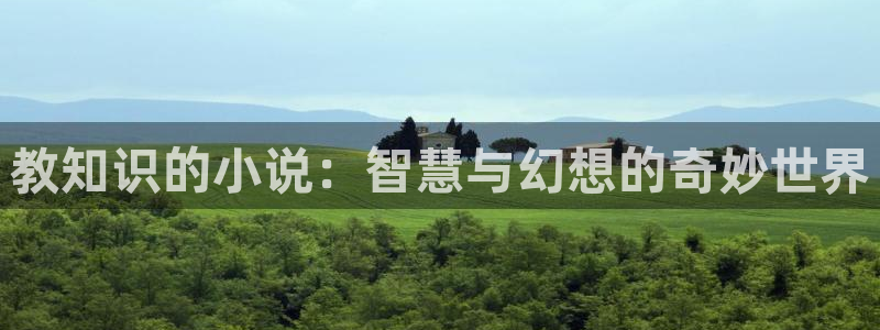 棉花糖小说网小说：教知识的小说：智慧与幻想的奇妙世界