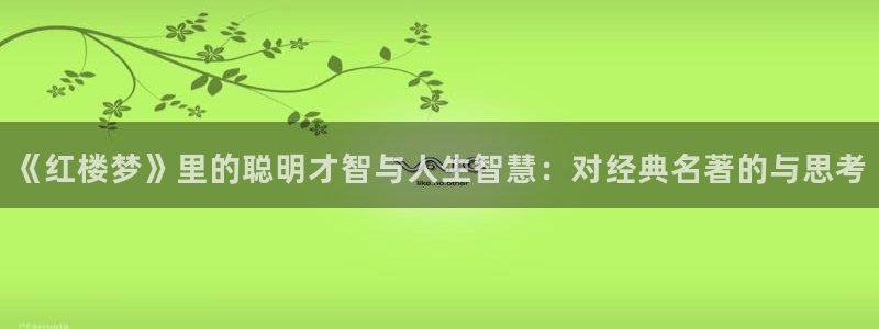 拉棉花糖的兔子的小说：《红楼梦》里的聪明才智与人生智慧：对经典名著的与思考