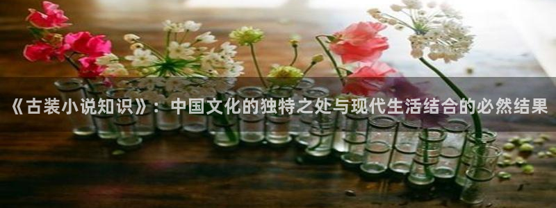 拉棉花糖的兔子小说合集txt：《古装小说知识》：中国文化的独特之处与现代生活结合的必然结果