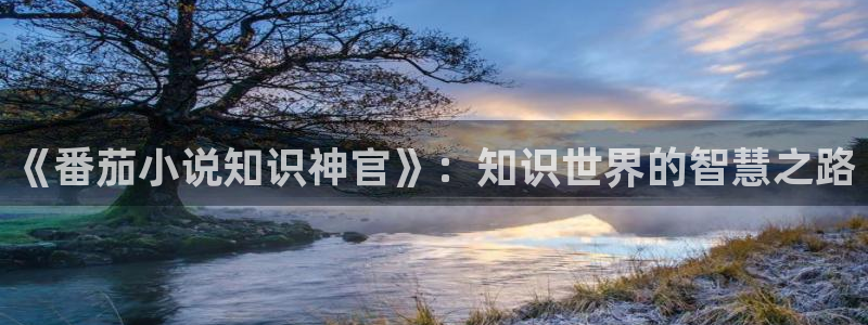 棉花糖小说网倾色撩人：《番茄小说知识神官》：知识世界的智慧之路