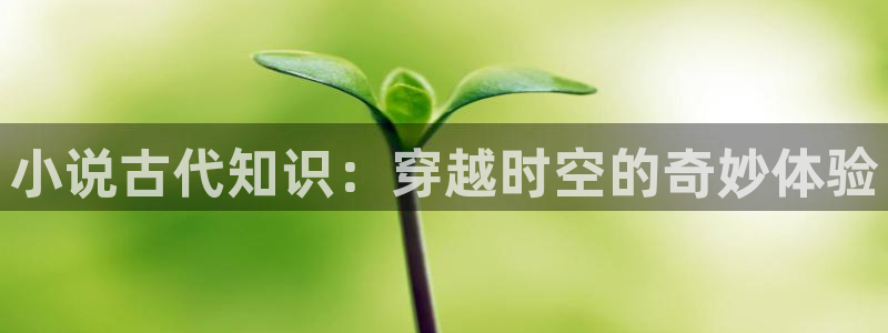 棉花糖网小说：小说古代知识：穿越时空的奇妙体验